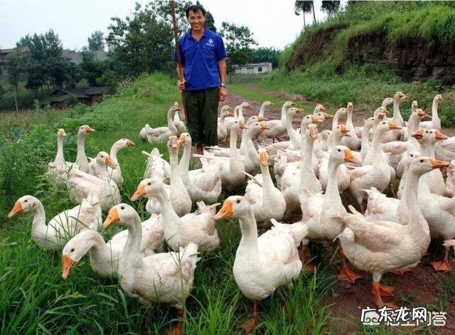 现在农村干什么收入最高,打工收入最高的城市?