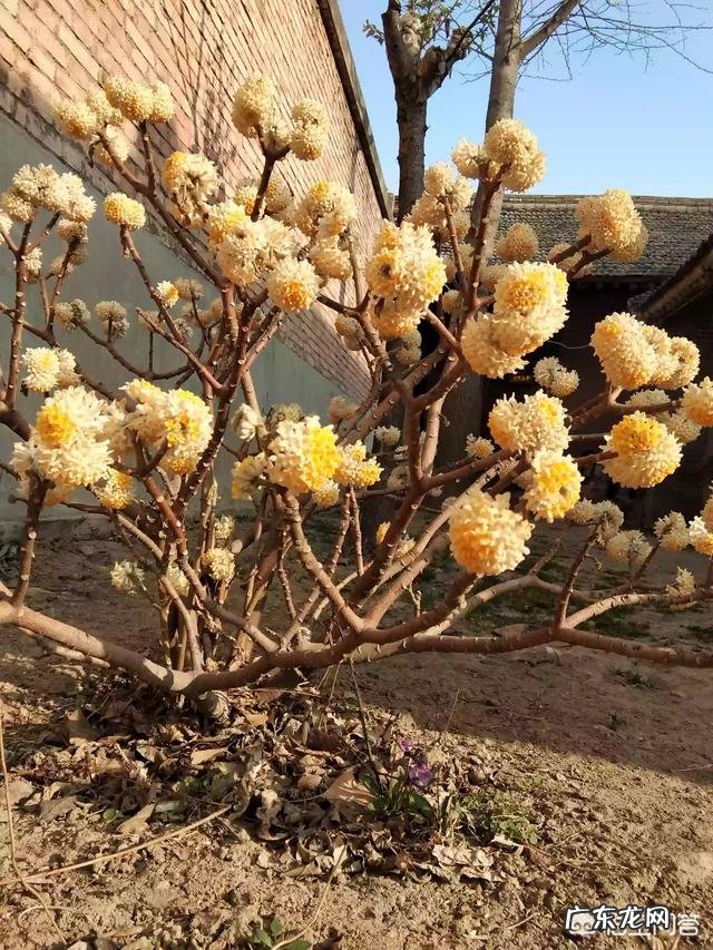 现在农村干什么收入最高,打工收入最高的城市?