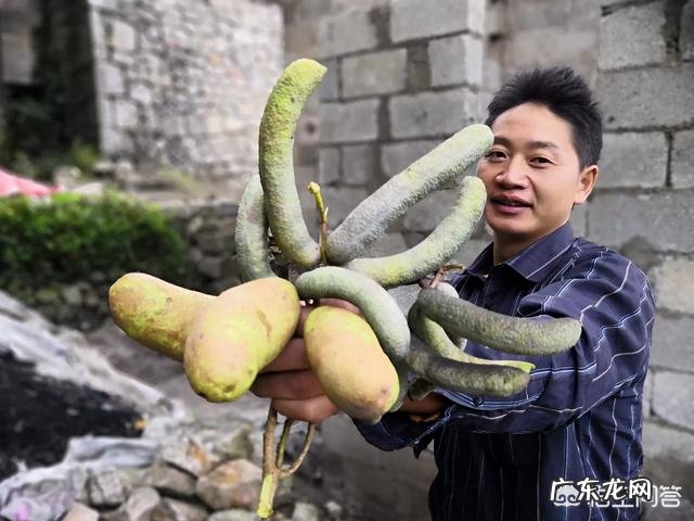 现在农村干什么收入最高,打工收入最高的城市?