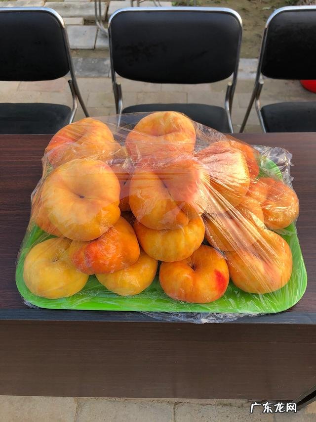 当前发展什么品种果树最赚钱,果树种类大全?