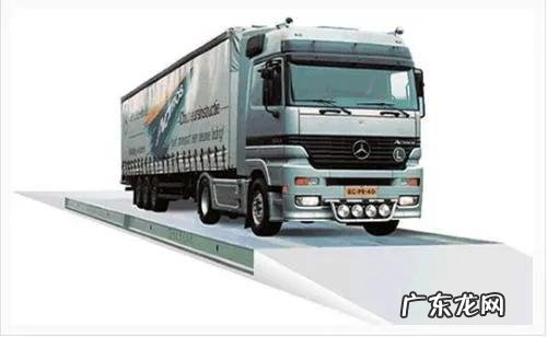 如果回农村发展，做什么最挣钱？