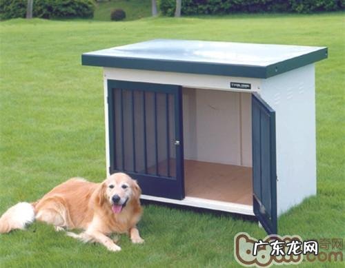 冬天狗狗的窝放置的常见问题