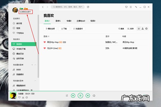 怎样看qq音乐听歌总时长 QQ音乐怎么看听歌时长