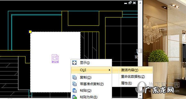 不可以在cad中对ole对象进行哪些操作 迅捷CAD编辑器如何插入OLE对象