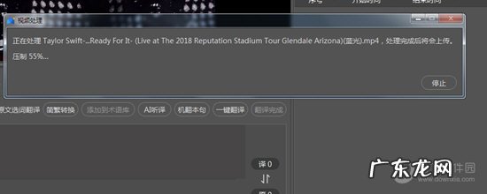 人人译视界收费标准 人人译视界怎么添加中文字幕