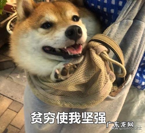 现在有什么赚钱快的方法 我想赚钱。怎么才能赚?怎样赚钱比较快