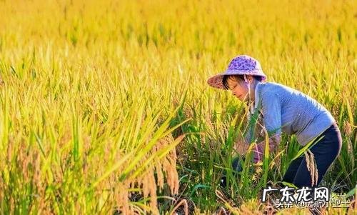 现在有什么赚钱快的方法 我想赚钱。怎么才能赚?怎样赚钱比较快