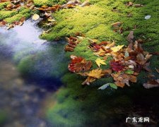 什么兼职一天能挣100 有什么好的兼职，能每月挣到两三千元？每天挣20到30的兼职