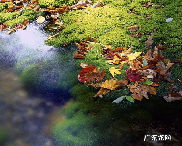 什么兼职一天能挣100 有什么好的兼职,能每月挣到两三千元?每天挣20到30的兼职