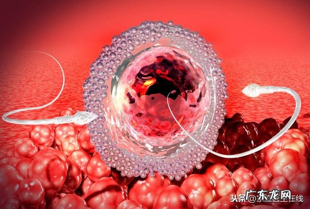 备孕前需要做哪些检查?准备生宝宝的夫妻进来了解一下