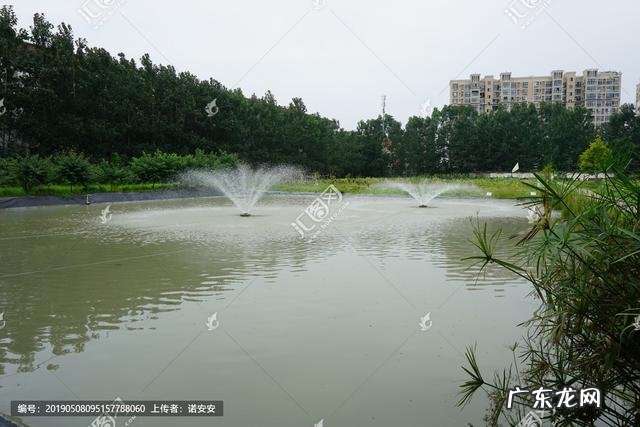 活水养鱼一平方能养多少鱼 家里有半亩鱼塘,水是流动的,养什么鱼比较好和赚钱呢?死水鱼塘适合养什么鱼