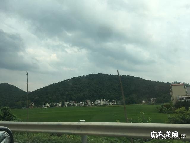 活水养鱼一平方能养多少鱼 家里有半亩鱼塘,水是流动的,养什么鱼比较好和赚钱呢?死水鱼塘适合养什么鱼