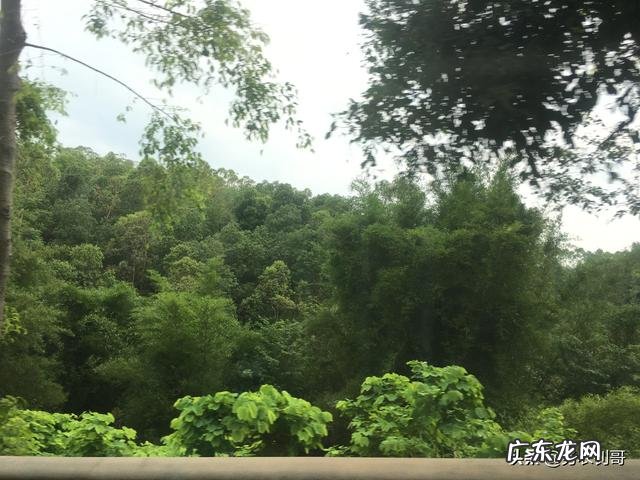 活水养鱼一平方能养多少鱼 家里有半亩鱼塘,水是流动的,养什么鱼比较好和赚钱呢?死水鱼塘适合养什么鱼