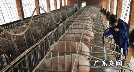 在农村常见的赚钱的方式,农村不起眼的商机?