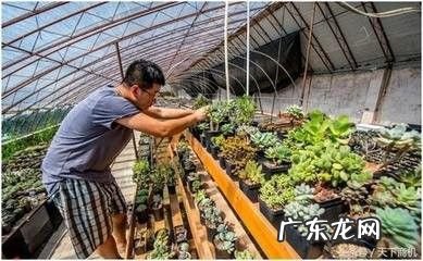 在农村常见的赚钱的方式,农村不起眼的商机?