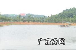 农村有哪些赚钱的项目,寻求农村致富项目?