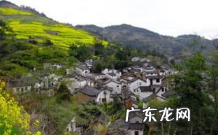 农村有哪些赚钱的项目,寻求农村致富项目?