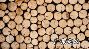 农村有哪些赚钱的项目,寻求农村致富项目?