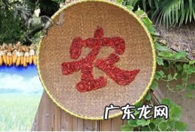 农村有哪些赚钱的项目,寻求农村致富项目?