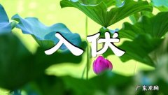 入伏吃什么水果 入伏吃什么