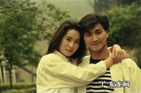 何家劲的老婆是杨丽菁吗 何家劲的老婆