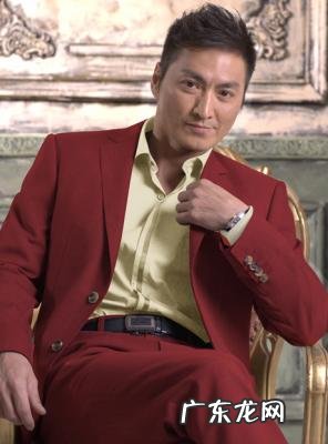 何家劲的老婆是杨丽菁吗 何家劲的老婆