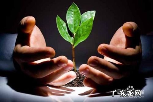 有项目怎么找投资人,有项目缺资金寻找投资人？