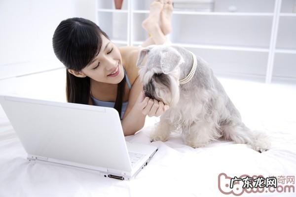 居家养狗的安全性常见问题