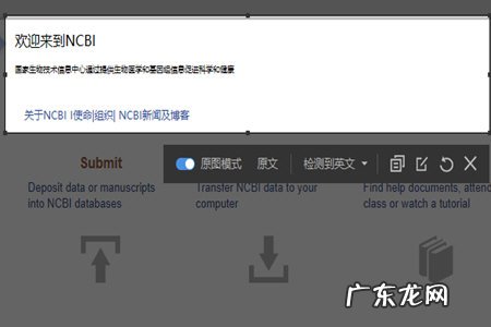 有道词典截屏翻译快捷键 有道词典怎么截图翻译