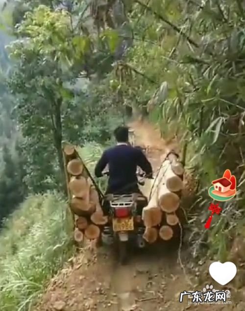 怎样能用手机赚钱,一天赚1000块钱的游戏?