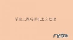 学生上课玩手机怎么处理,学生谈话内容玩手机？