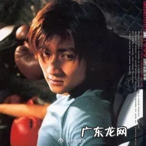 谢霆锋和张卫健一起拍的电视剧 谢霆锋拍过的电视剧