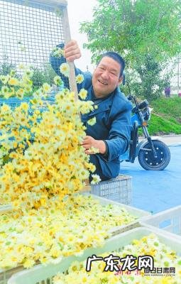 幸福笑容说说 幸福笑容