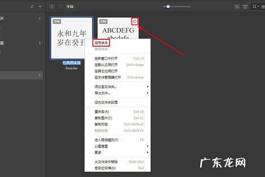 eagle软件怎么设置中文 Eagle怎么添加字体