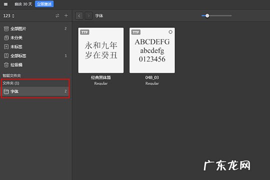 eagle软件怎么设置中文 Eagle怎么添加字体