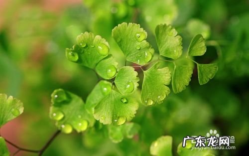 正确玩手机的几点建议,正确使用手机的建议?