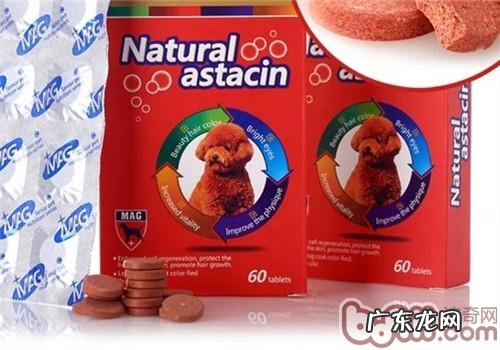 小狗可以吃美毛粉吗