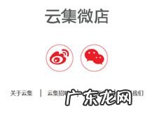 现在网上怎么赚钱,手机打字赚钱一单一结?