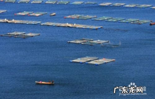 农学毕业后可以做什么,农学类公务员职位表？