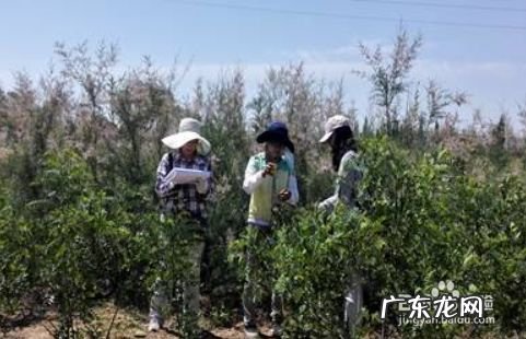 农学毕业后可以做什么,农学类公务员职位表？