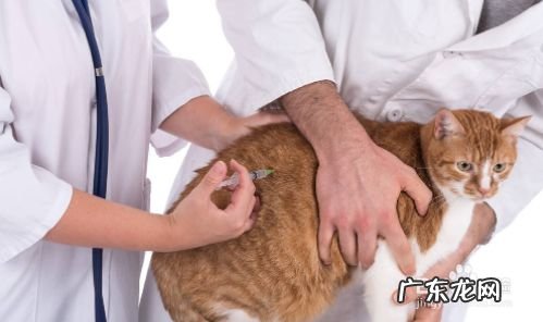 农学毕业后可以做什么,农学类公务员职位表？