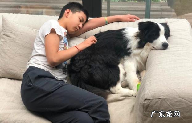 胡军的儿子和女儿叫什么名字 胡军儿子