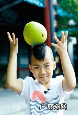 胡军的儿子和女儿叫什么名字 胡军儿子