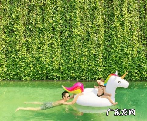 陈浩民老婆5年生4胎 陈浩民的老婆是谁