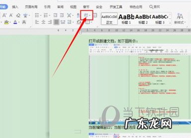 wps2019的段落设置在哪里 wps2019怎么不显示段落标记