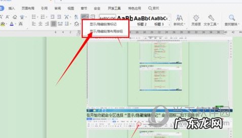 wps2019的段落设置在哪里 wps2019怎么不显示段落标记