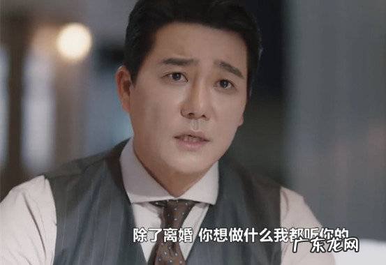 电视剧婚变分集剧情 婚变剧情