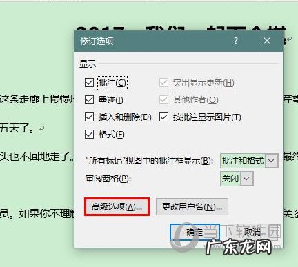 word替换怎么设置颜色 Word2019怎么更改修订颜色