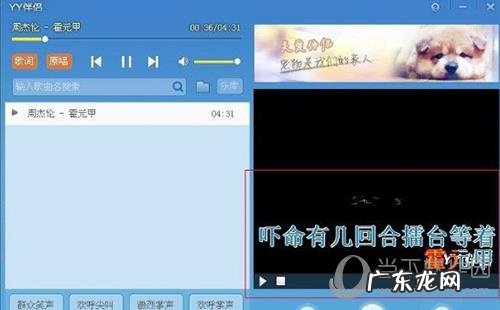 yy伴侣能在其他平台用吗 YY伴侣怎么使用