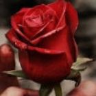 手机电脑互联网赚钱,互联网做什么比较赚钱?